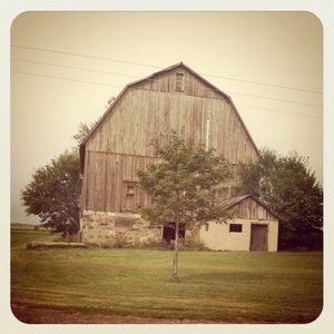 Meet your Posher, Molly